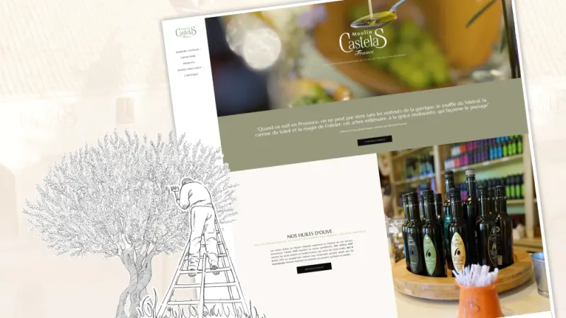 Capture du site castelas.com réalisé par e-Frogg