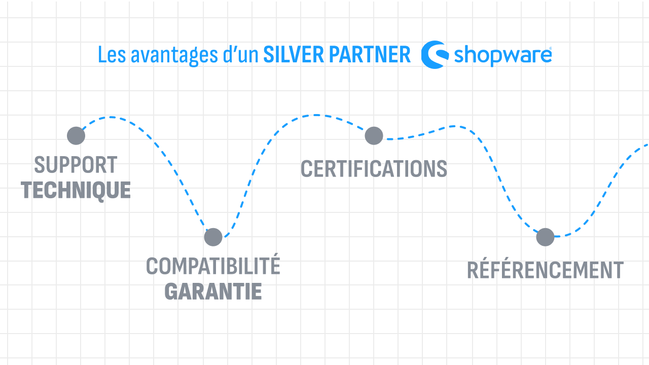 Les avantages d'un Silver Partner Shopware